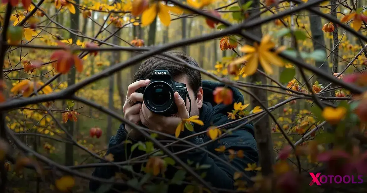 Using Natural Elements in Photography